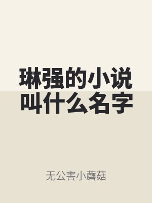 琳強的小說叫什么名字